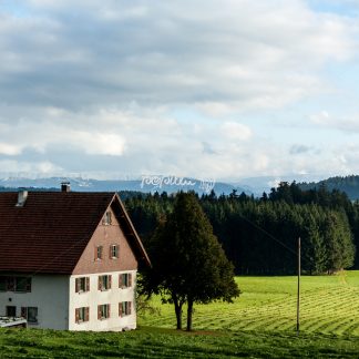 Bauernhof im westlichen Allgäu - Papillu