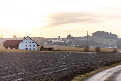 Blick nach Herlazhofen II - Papillu