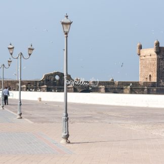 Hafen Essaouira - Papillu