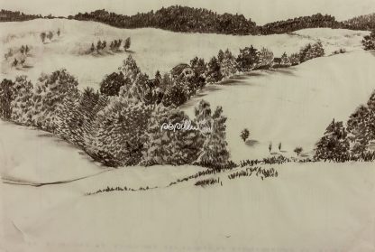Landschaft - Papillu