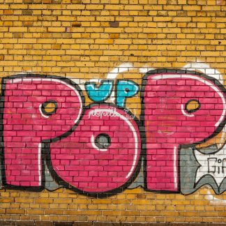 Pop up - Papillu