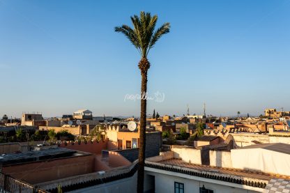 Über den Dächern Marrakeschs - Papillu