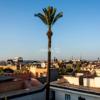 Über den Dächern Marrakeschs - Papillu