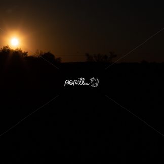 Sonnenuntergang - Papillu´ Lampen Design, Grafik und Fotografie