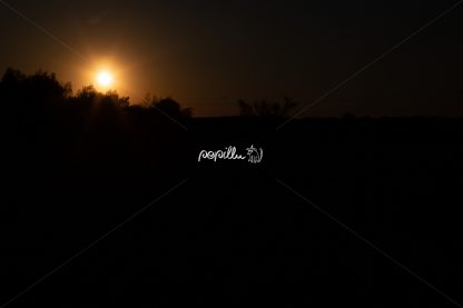 Sonnenuntergang - Papillu´ Lampen Design, Grafik und Fotografie